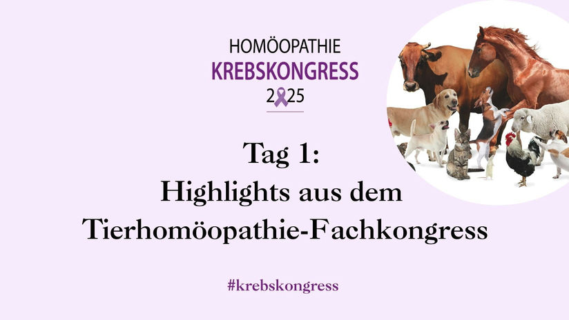 Tierhomöopathie Krebskongress Highlights 09.04